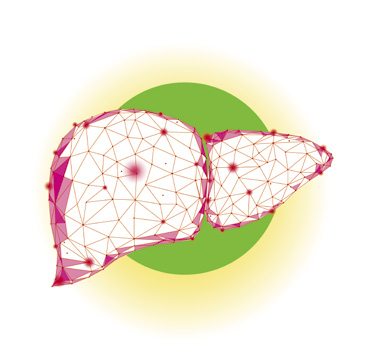 Програма "Подкрепа на черния дроб и червата"
