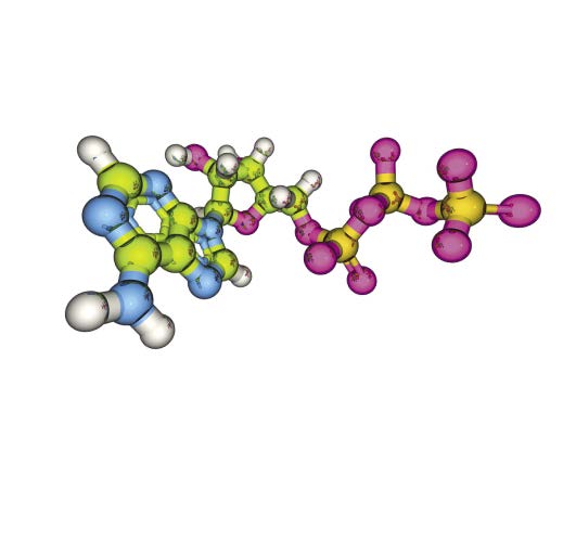 Програма Въглехидратна обмяна