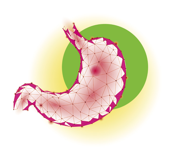 здравето на стомаха