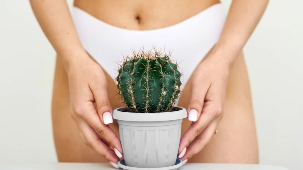 интимна хигиена