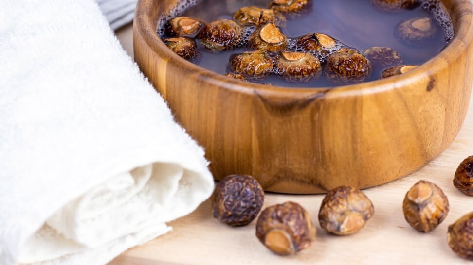 сапунен орех