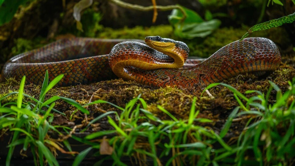 регенерация