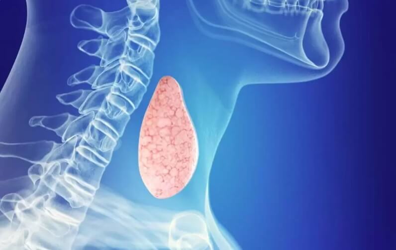 щитовидна жлеза