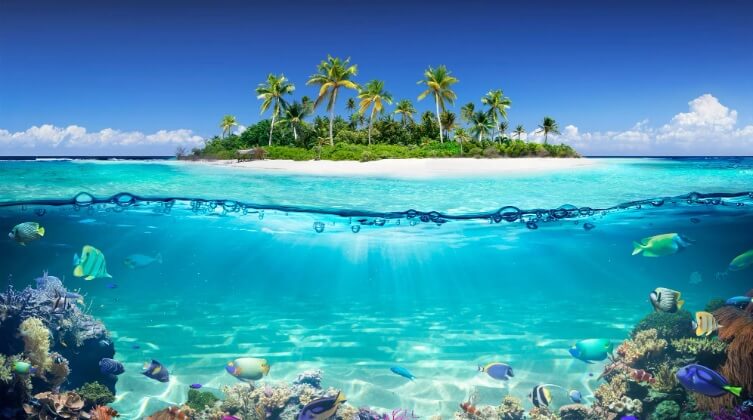 Калцемарин