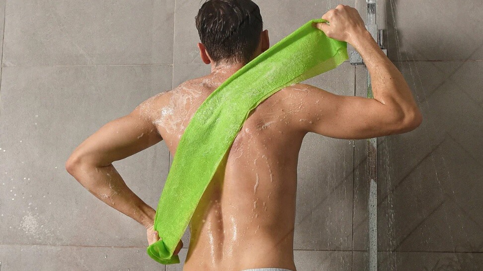 японска гъба