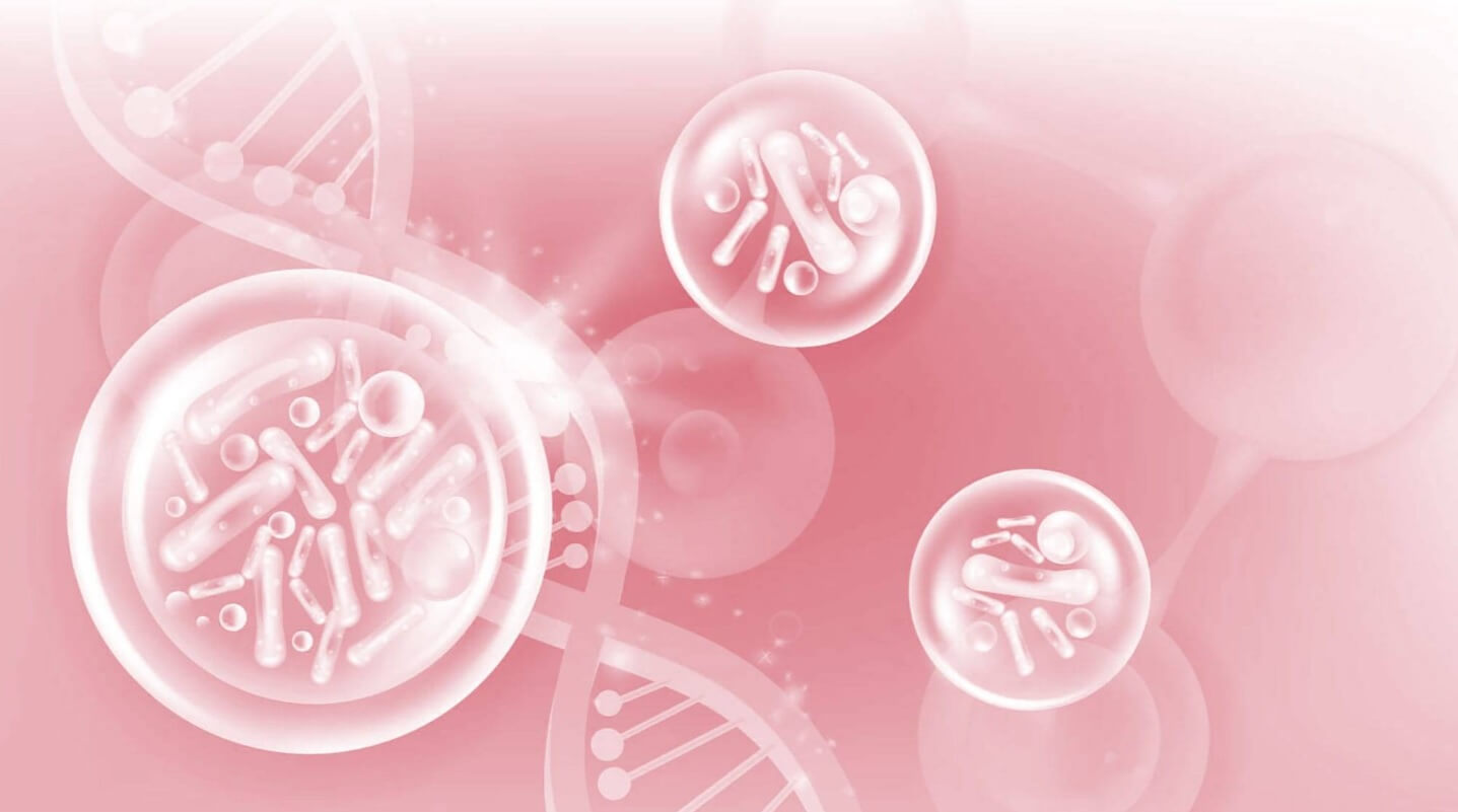 антиоксиданти