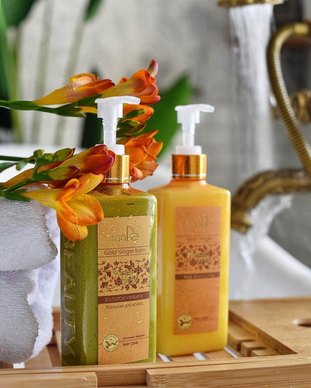 златен джинджифил