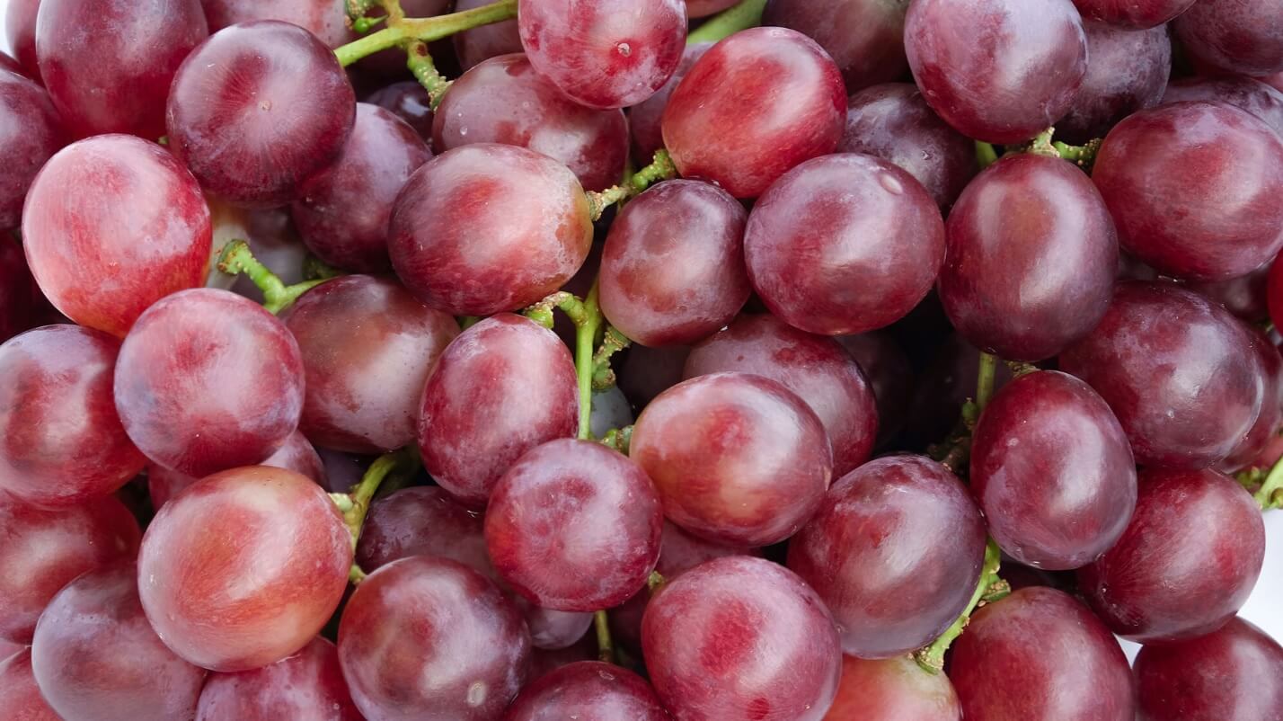 грозде