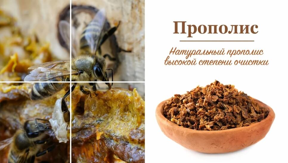 прополис