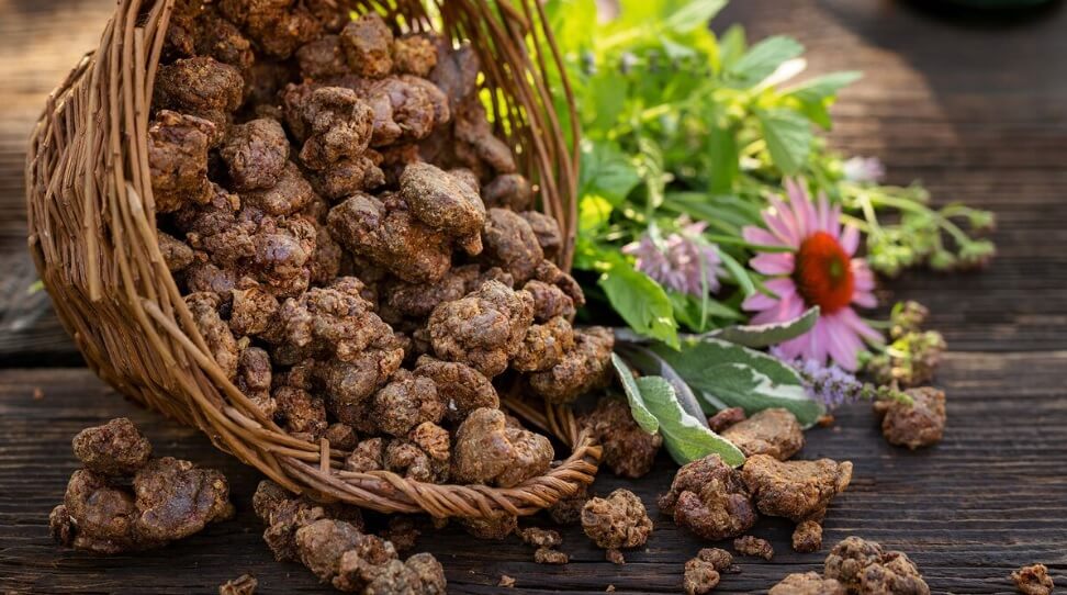 дяволски нокът