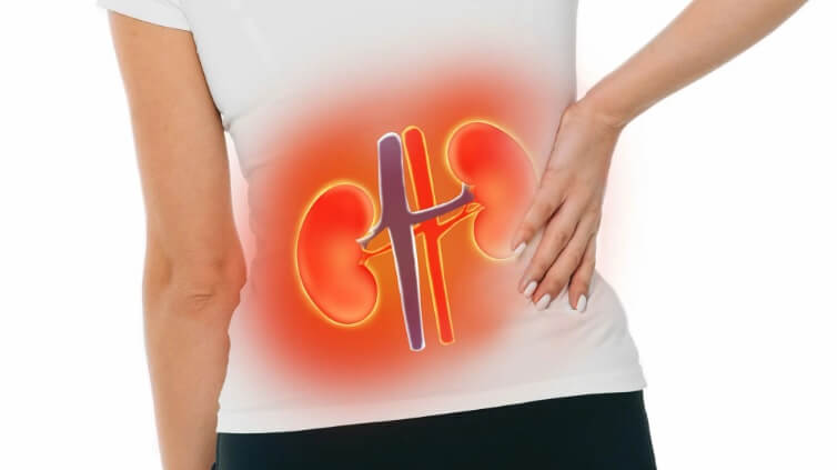 фитопластири