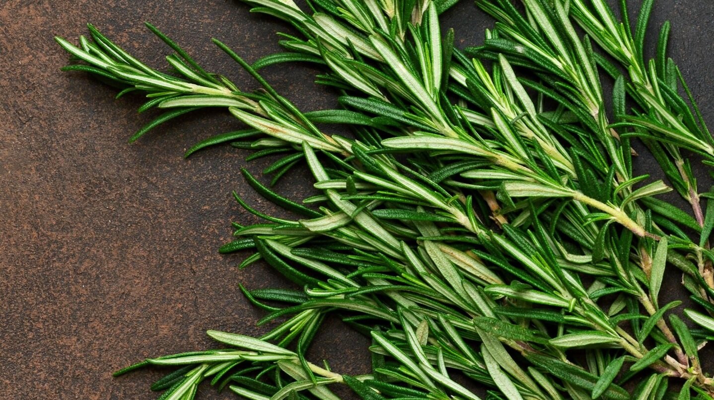 розмарин